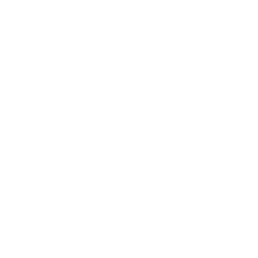 Borgata Casino PA Logo